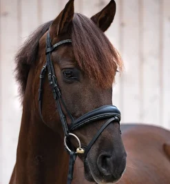 Kavalkade Victoria Snaffle Bridle