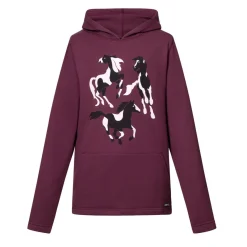 Kids Kerrits Mod Mare Pullover Hoodie