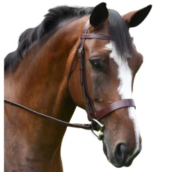 KL Italia Foxwell Hunt Bridle