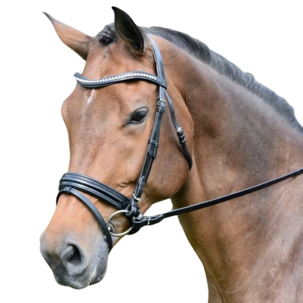 KL Italia Prix Snaffle Bridle