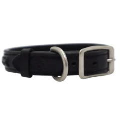 KL Select Braided Leather Dog Collar