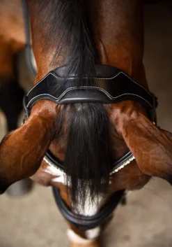KL Select Flexion Rolled Weymouth Bridle