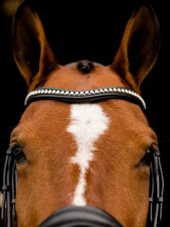 KL Select Flexion Rolled Weymouth Bridle