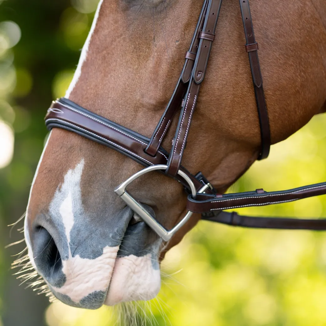 KL Select Hampton Hunter Bridle