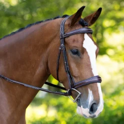 KL Select Hampton Hunter Bridle
