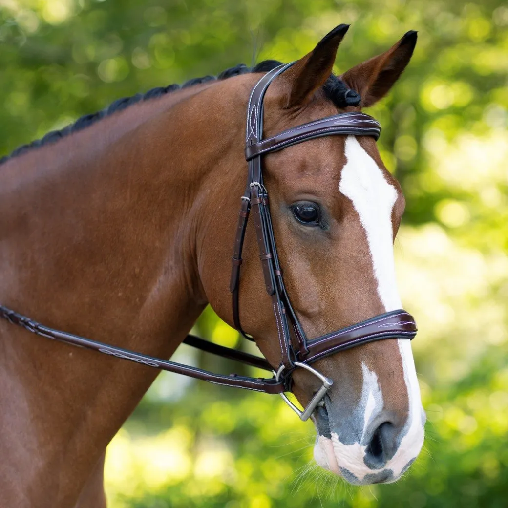 KL Select Hampton Hunter Bridle