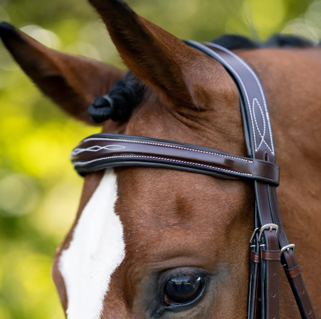 KL Select Hampton Hunter Bridle