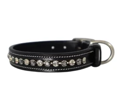 KL Select Impulsion Dog Collar