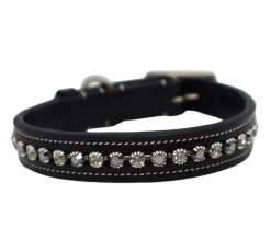 KL Select Impulsion Dog Collar