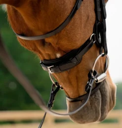 KL Select Impulsion Snaffle Bridle