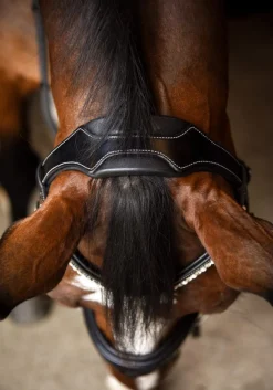 KL Select Impulsion Snaffle Bridle