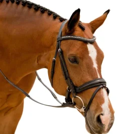 KL Select Impulsion Snaffle Bridle