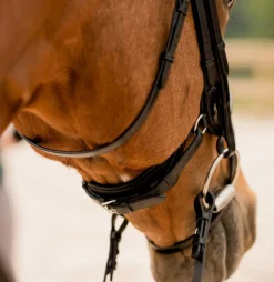KL Select Impulsion Snaffle Bridle
