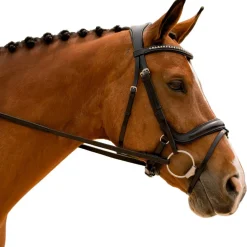 KL Select Impulsion Snaffle Bridle
