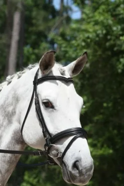 KL Select Italia Pirouette Snaffle Bridle