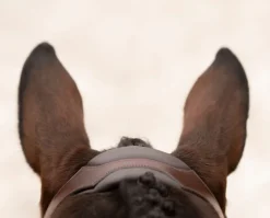 KL Select Tucson Bridle