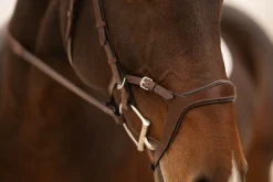 KL Select Tucson Bridle