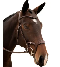 KL Select Tucson Bridle