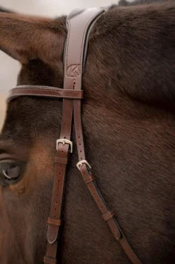 KL Select Tucson Bridle