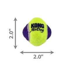 Kong AirDog Squeaker Knobby Ball