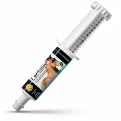 Lactalex Muscle Function & Recovery Paste