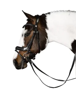 Lara Tweedie Connection Snaffle Bridle