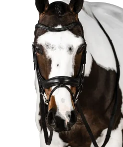 Lara Tweedie Connection Snaffle Bridle