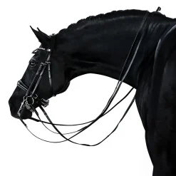 Lara Tweedie Essential Double Bridle