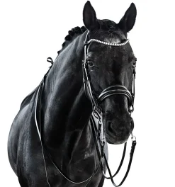 Lara Tweedie Essential Double Bridle