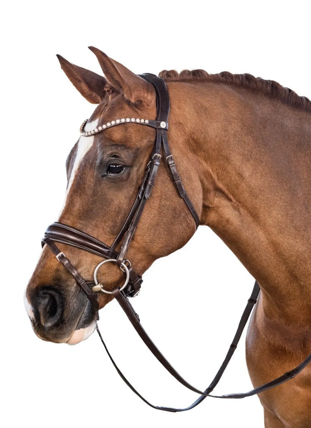 Lara Tweedie Essential Snaffle Bridle