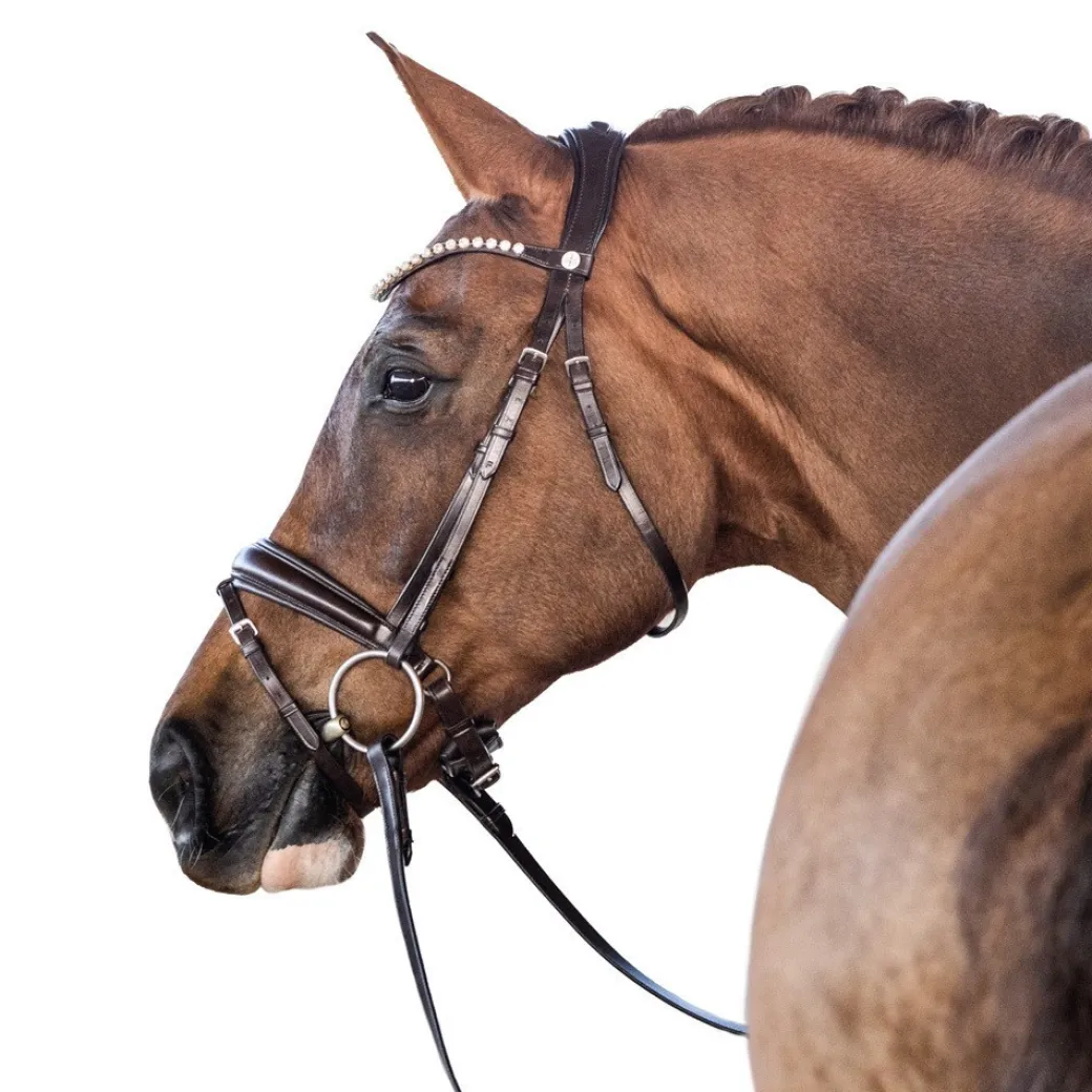 Lara Tweedie Essential Snaffle Bridle