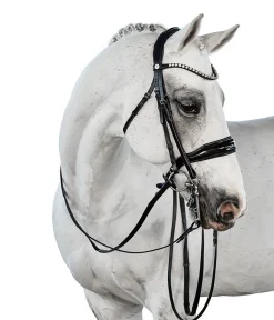 Lara Tweedie Glam Double Bridle