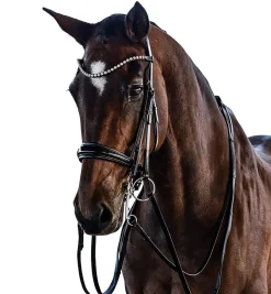 Lara Tweedie Patent Essential Double Bridle