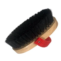 Legends Charlotte Mini Brush