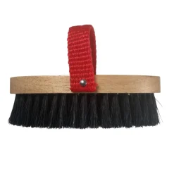 Legends Charlotte Mini Brush