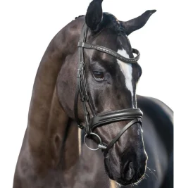LeMieux Arika Dressage Snaffle Bridle