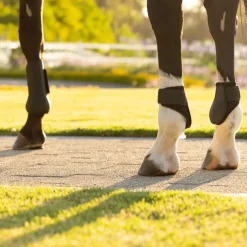 LeMieux Arika Fetlock Boots