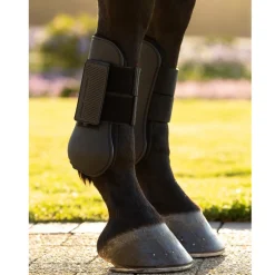 LeMieux Arika Tendon Boots