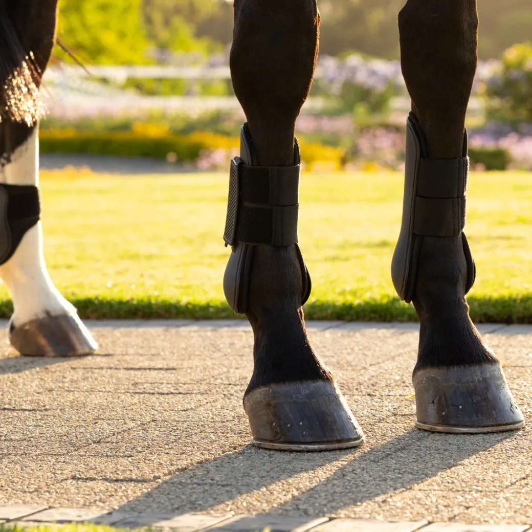 LeMieux Arika Tendon Boots