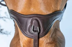 LeMieux Gel-Tek Anatomic Jumping Girth