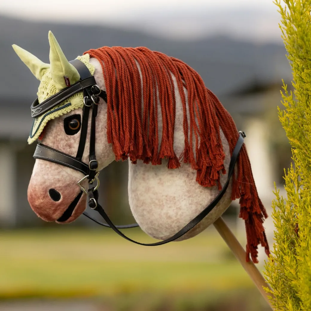 LeMieux Hobby Horse Fly Hood SS26