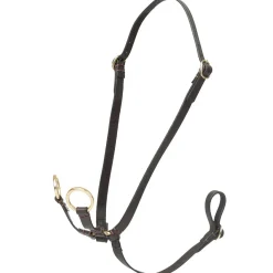 LeMieux Hobby Horse Running Martingale