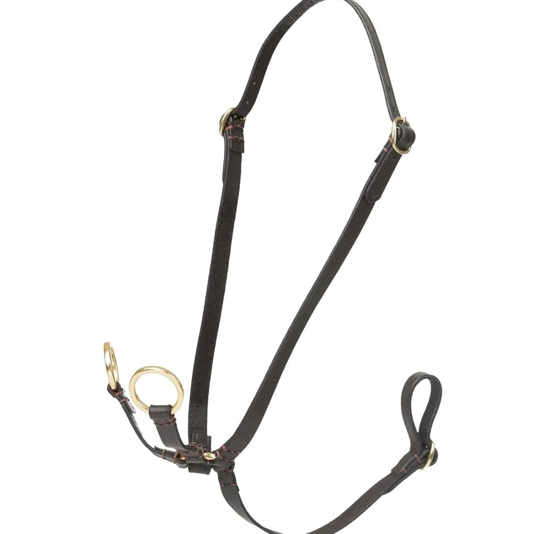 LeMieux Hobby Horse Running Martingale