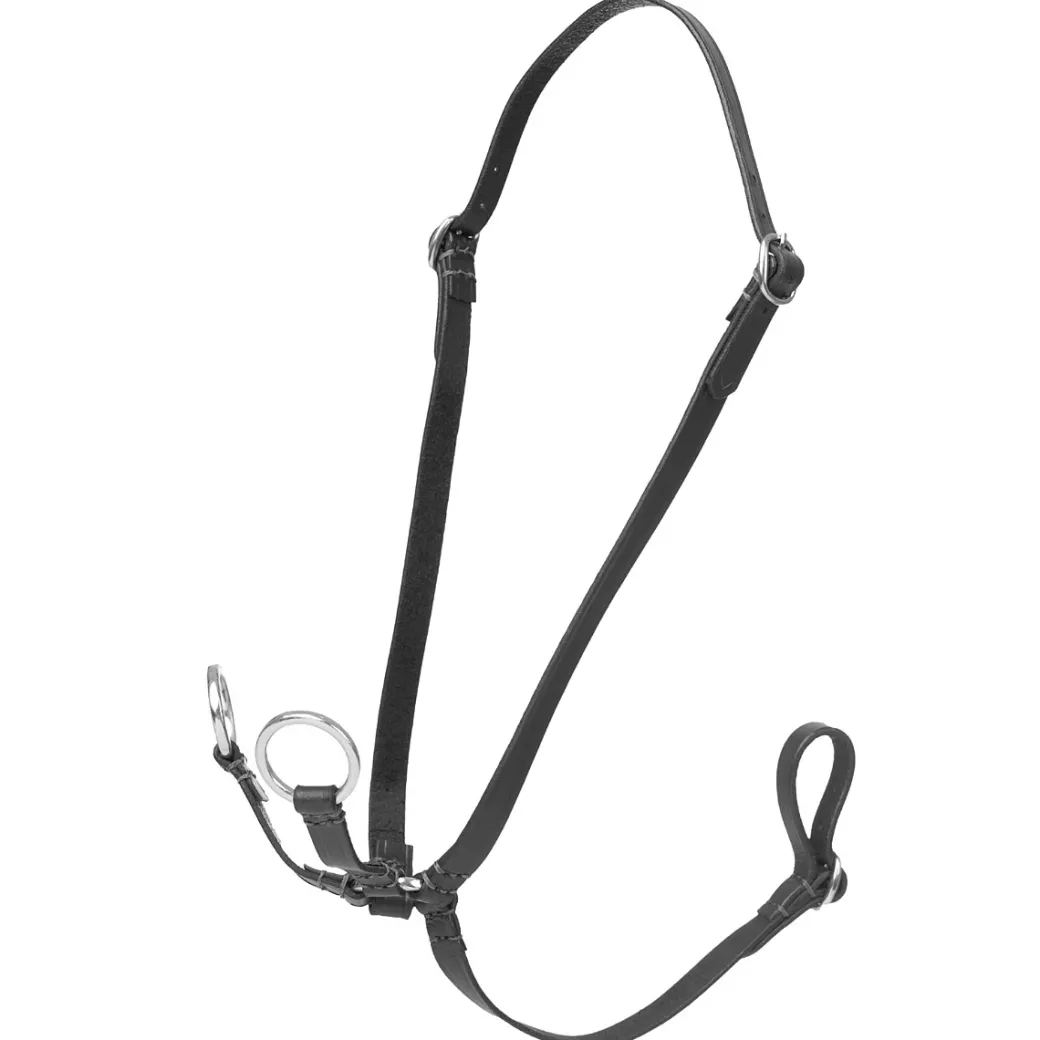 LeMieux Hobby Horse Running Martingale
