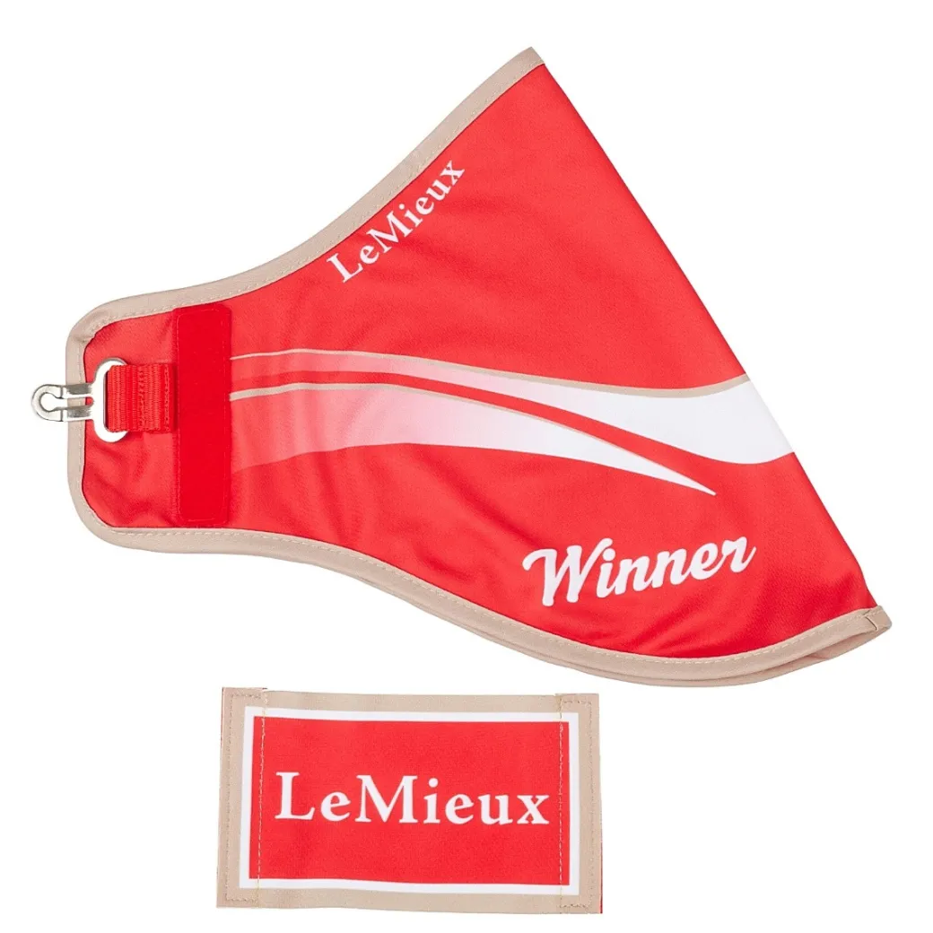LeMieux Hobby Horse Winner Blanket