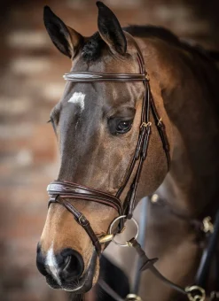 LeMieux Kudos Competition Bridle