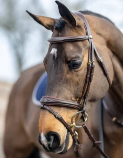 LeMieux Kudos Competition Bridle