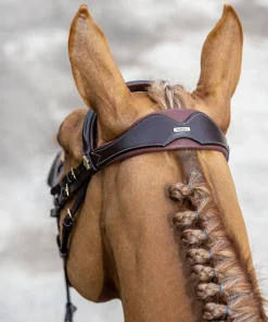 LeMieux Kudos Competition Bridle