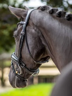 LeMieux Kudos Patent Dressage Bridle