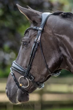 LeMieux Kudos Patent Dressage Bridle